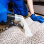 How to Get Pet Smell and Urine Off Your Carpet