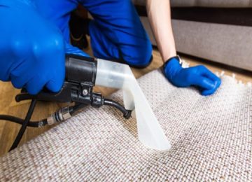 How to Get Pet Smell and Urine Off Your Carpet