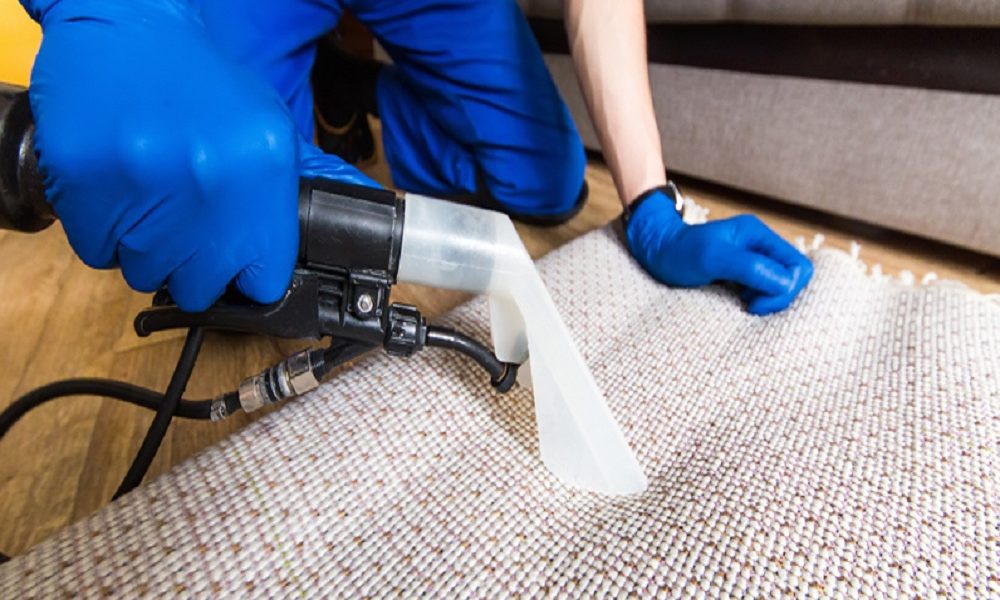 How to Get Pet Smell and Urine Off Your Carpet