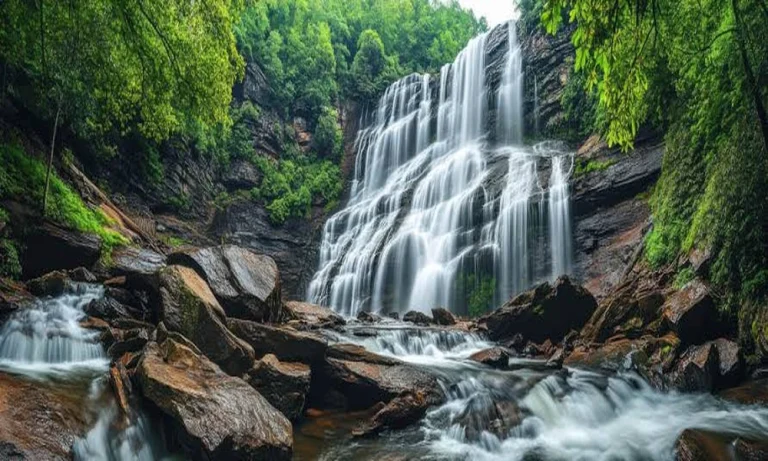 Heat at Dawn and Cooling by Afternoon in a Georgia Fall